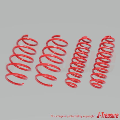 TOYOTA RAV4 MXAA54 2019- TANABE Lift Up Spring Sustec UP210 Kit AXAH54UK