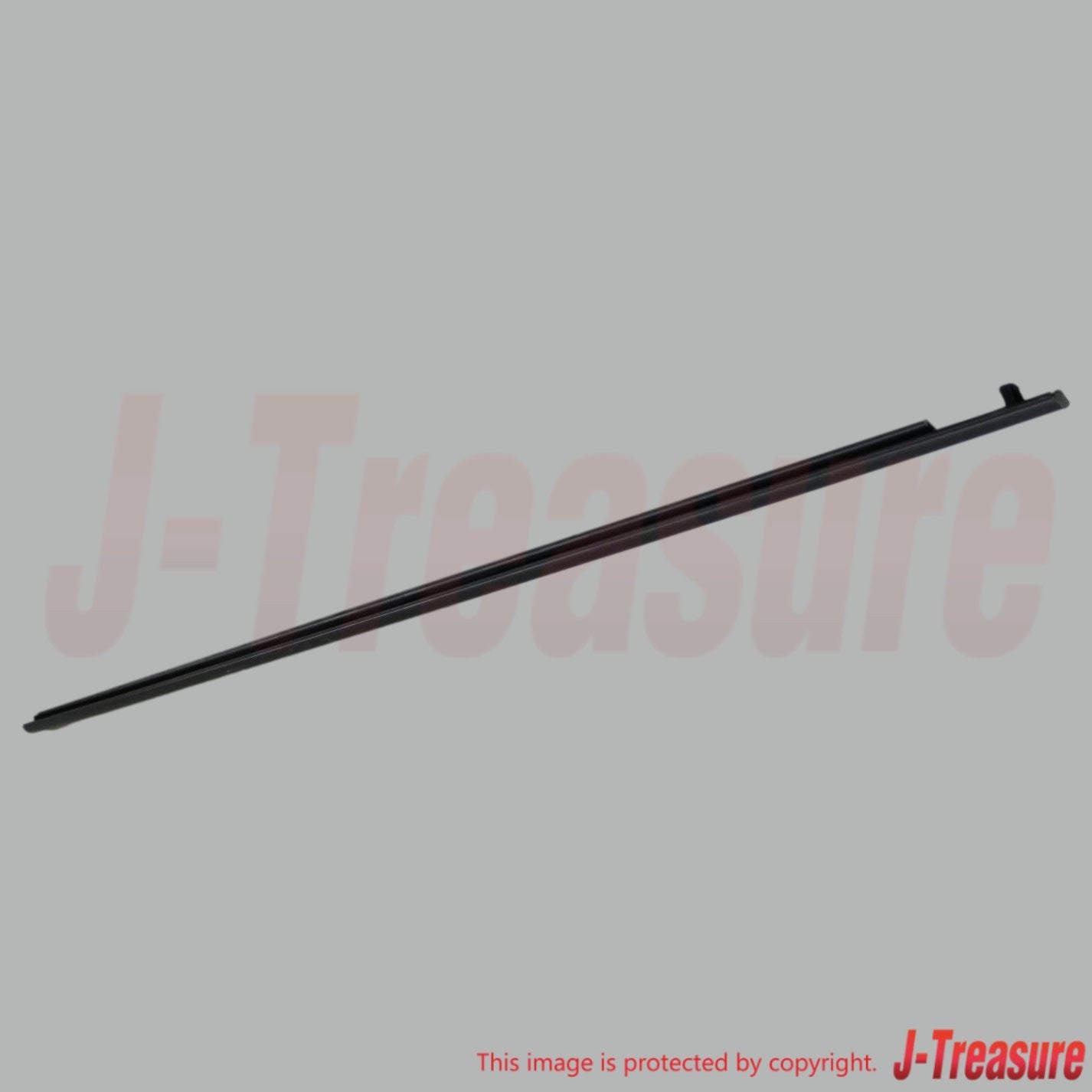 TOYOTA SCION tC ANT10 '05-10 Genuine Front Door Belt Moulding 75711-21030 RH OEM