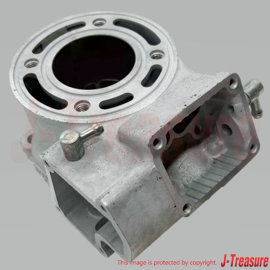 SUZUKI RM85 2002-2009 2012 2015-2023 Genuine Engine Cylinder Set 11200-03830 OEM