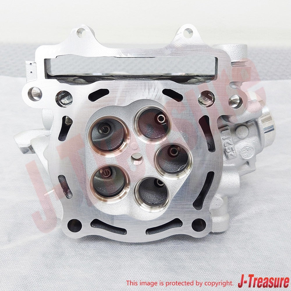 YAMAHA YZ450F 2008-2009 Genuine Cylinder Head Assy 2S2-11102-11-00 OEM