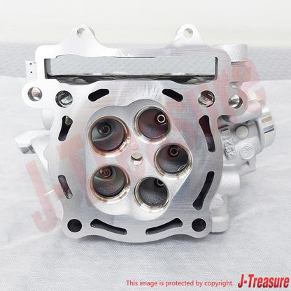 YAMAHA YZ450F 2008-2009 Genuine Cylinder Head Assy 2S2-11102-11-00 OEM