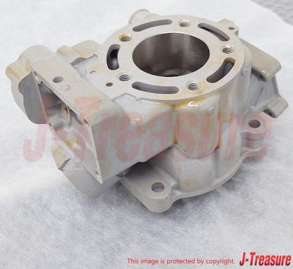 KAWASAKI KX85 2014-2018 Genuine ENGINE CYLINDER 11005-0749 OEM