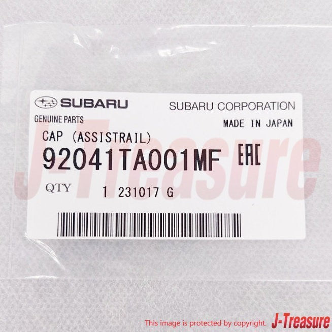 SUBARU SAMBAR KS3/KV3 Genuine Fr/Pillar Assist Rail W/Cap & Screws RH & LH Set