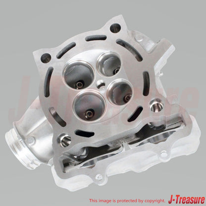 SUZUKI RM-Z250 2007 Genuine Cylinder Head Assy & Cylinder Gasket Set OEM