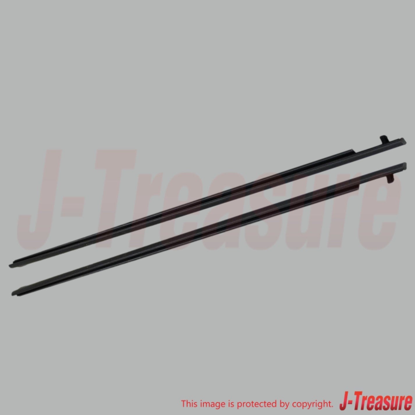 TOYOTA SCION tC ANT10 '05-10 Genuine Front Door Belt Moulding RH & LH Set OEM