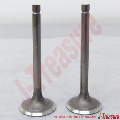 KAWASAKI KLR650 KL650A KL650E '87-10 Genuine Exhaust Valve 12005-1085 x2 Set OEM